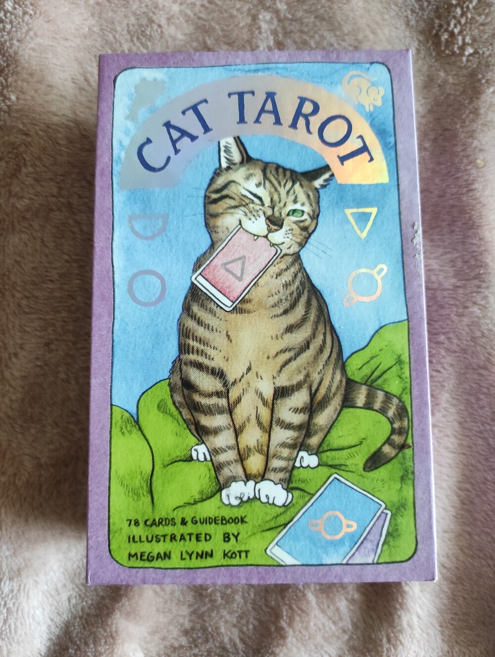Cat tarot deck